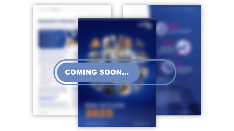 preview or risk oulook report